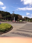診断という武器