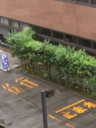 平成２８年度 NPO法人 全国ことばを育む会総会