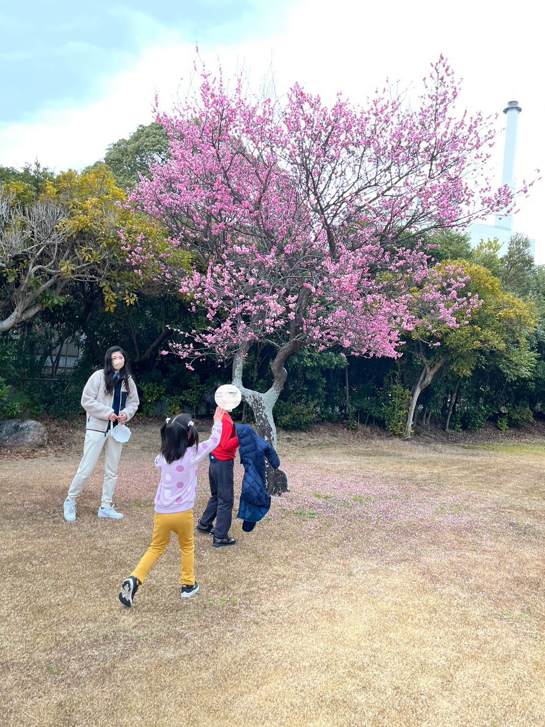 2月定例会