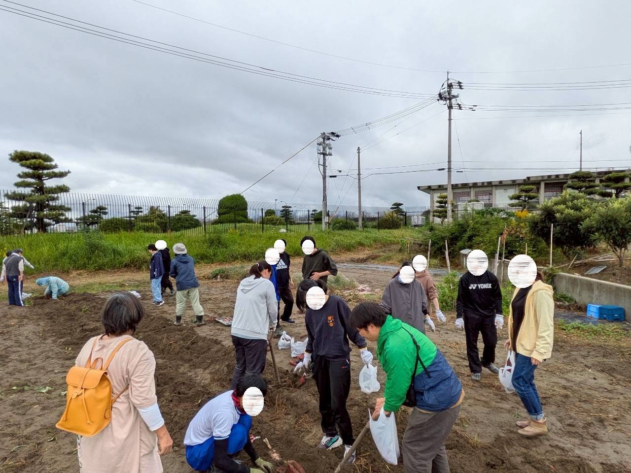 10月定例会芋堀体験活動