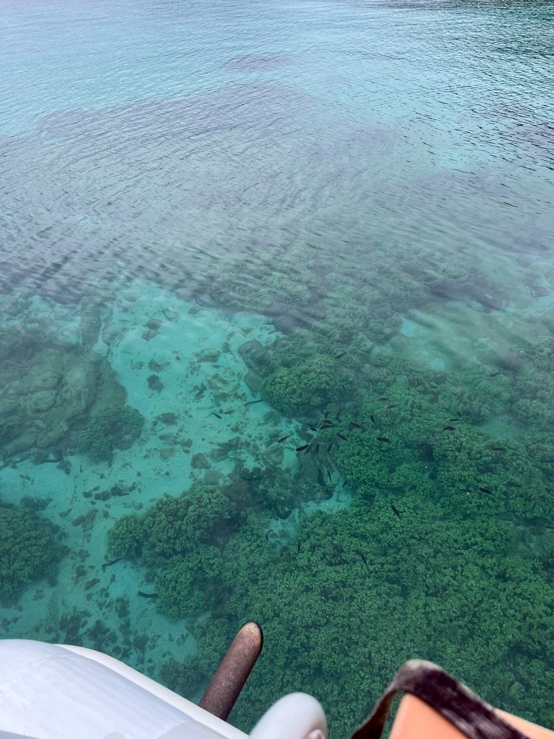 2月定例会(バス遠足)